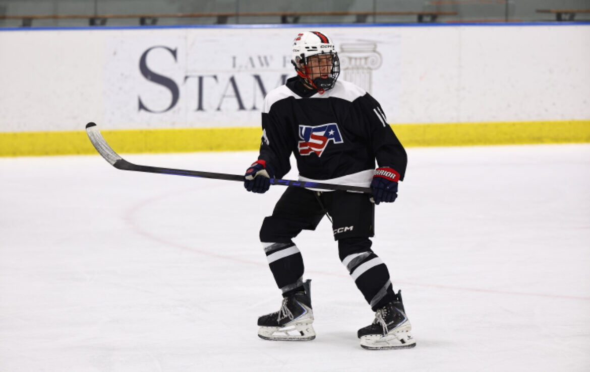 Briggs in a defensive stance wearing a USA jersey