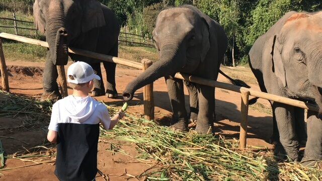 Briggs during his family's trip to Thailand